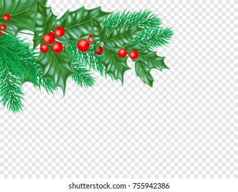 Christmas greeting card template background of holly leaf wreath and New Year fir or pine tree decoration. Vector Christmas tree ornament for New Year winter holiday festive sale white background.