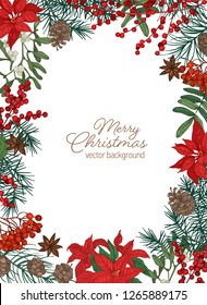 Christmas greeting card template with festive wish inside border made of coniferous branches and cones, poinsettia and mistletoe berries and leaves on white background. Holiday vector illustration.