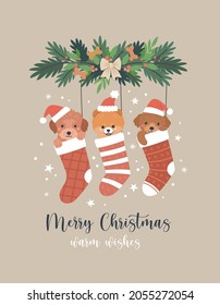 Christmas greeting card. Vector cartoon illustration with three cute cartoon puppies in Christmas red socks. Small dogs in Santa hats. Isolated on background