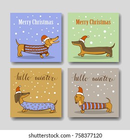 Christmas greeting cards with funny dachshund.