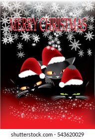 Christmas greetings from cute little kittens