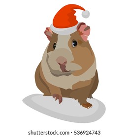 Christmas Guinea Pigs