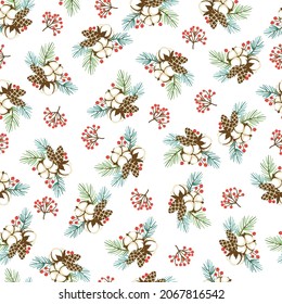 Christmas  hand drawn floral seamless pattern with cotton cone twigs and berries composition on white background. Winter themed background. Botanical illustration.