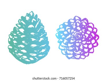 Christmas hand drawn pine cones collection. Modern gradient. Cedar cone set. Sketchy style. Unusual. For your project.