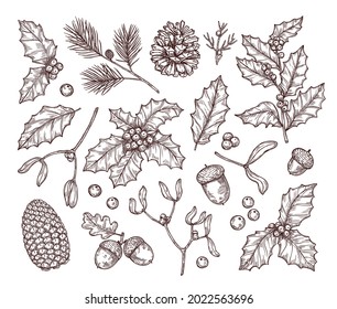 Christmas hand drawn plant elements
