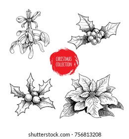 Christmas hand drawn plants collection. Holly berries, poinsettia, mistletoe. Seasonal winter symbols. Decorations for greeting cards and invitations. Vector illustrations set.