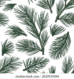Patrón sin fisuras del vector dibujado a mano de Navidad. Ilustración botánica de estilo vintage. Cartel de Navidad de plantas de invierno. Fondo de color pino.
