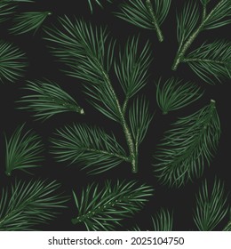 Christmas hand drawn vector seamless pattern. Vintage style botanical illustration. Winter plants xmas banner. Pine background.