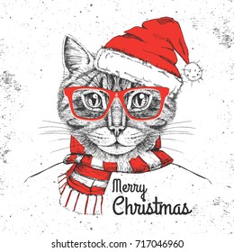 Christmas Hipster fashion animal cat dressed  a New Year hat and scarf