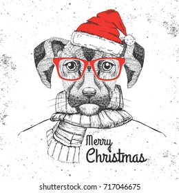 Christmas Hipster fashion animal dog dressed  a New Year hat and scarf