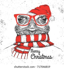 Christmas Hipster fashion animal frog dressed  a New Year hat and scarf
