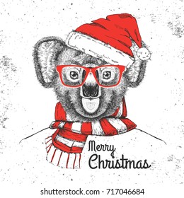 Christmas Hipster fashion animal koala dressed  a New Year hat and scarf