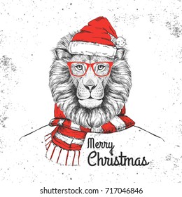 Christmas Hipster fashion animal lion dressed  a New Year hat and scarf