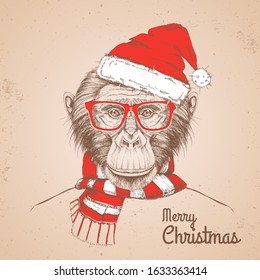 Christmas Hipster fashion animal monkey dressed in New Year hat and scarf