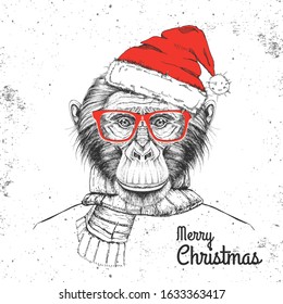 Christmas Hipster fashion animal monkey dressed in New Year hat and scarf