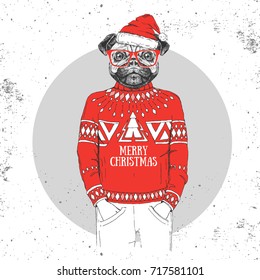 Christmas Hipster fashion animal pug dog dressed a New Year hat and pullover