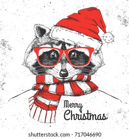 Christmas Hipster fashion animal raccoon dressed  a New Year hat and scarf