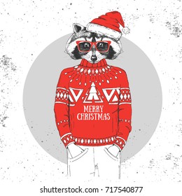 Christmas Hipster fashion animal raccoon dressed a New Year hat and pullover