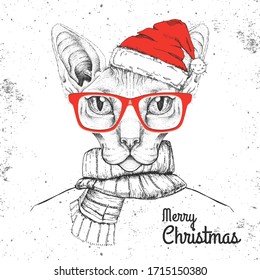 Christmas Hipster fashion animal sphynx cat dressed in New Year hat and scarf