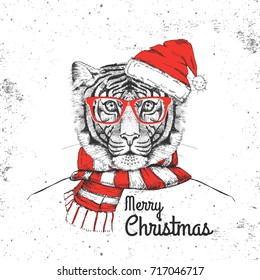 Christmas Hipster fashion animal tiger dressed  a New Year hat and scarf