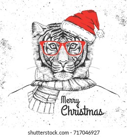 Christmas Hipster fashion animal tiger dressed  a New Year hat and scarf