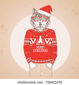 Christmas Hipster fashion animal wolf dressed a New Year hat and pullover