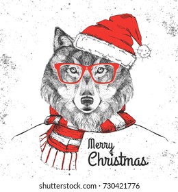 Christmas Hipster fashion animal wolf dressed  a New Year hat 