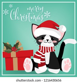 Christmas holiday background of cute cat wear Santa hat and red scarf sit near a gift box with holly berries branches ribbon and Merry Christmas text with snowflakes on green background. 
