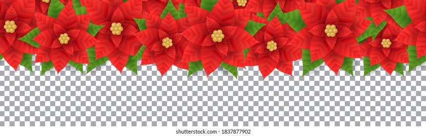 Christmas holiday decoration border with red poinsettia flower on transparent background, Paper art and digital craft style, Vector illustration