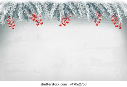 Christmas holiday decoration with branches of tree. Vector.