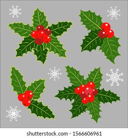 Christmas holiday decoration Holly leaves berries vector design element set collection.