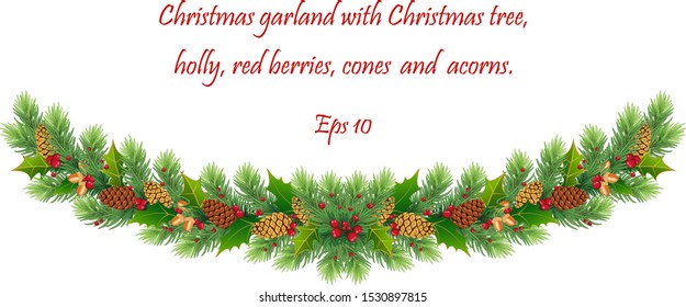 Christmas holiday design. Realistic fir-tree branches, pine, cones, red berries, holly, acorns and mistletoe. Eps 10