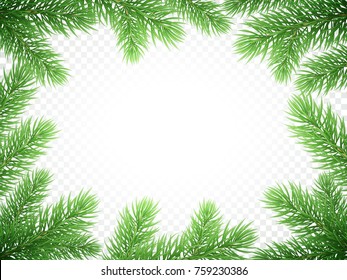 Christmas Holiday Greeting Card Background Template Of New Year Fir Or Green Pine Tree Branch Wreath Frame. Vector Christmas Or New Year Banner Decoration Design On Transparent Luxury White.