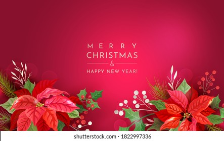 Christmas Holiday Vector Background, Season Wishes Border, Poinsettia Flowers, Pine Branches, Holly  Berry, Xmas Sale Banner Template, December New Year Flyer, Invitation, Greetings