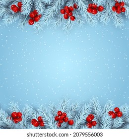 Christmas holidays. Pine branches  with holly on blue background
