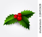 Christmas holly