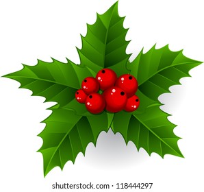 Christmas holly