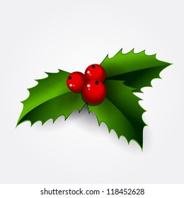 Christmas holly