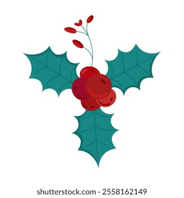 Christmas Holly berries for Decoration Vector illustration.