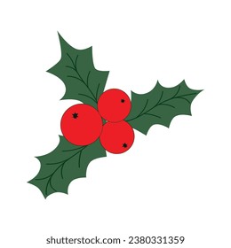 Christmas holly berries  icon, vector, white background