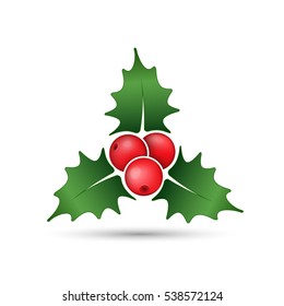 Christmas holly berries icon, vector. Simple mistletoe decorative red and green illustration.