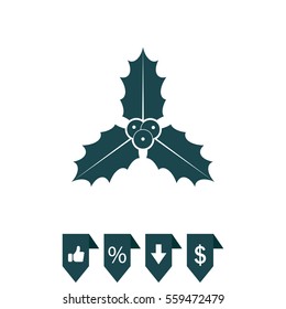 Christmas holly berries icon vector