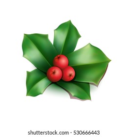 Christmas holly berries with leaves isolated on white background.