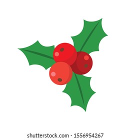 Christmas holly berries on white background