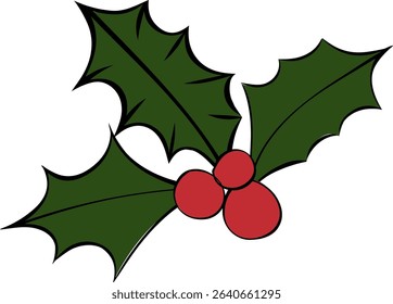 Christmas Holly Berries Plant composition isolated. Vector graphic line ink illustration. Mistletoe With Small Plant Behind For Decoration. For logo, web, package, sticker.
