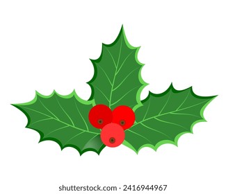 christmas holly berries stock vector illustration isolated on white background
