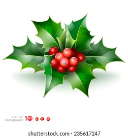 Christmas holly with berries. Vector  EPS 10.