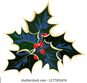 Christmas Holly with berries. Vector illustration