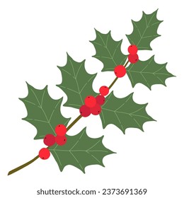 Christmas holly berries vector illustration on white background. Traditional holiday decoration.