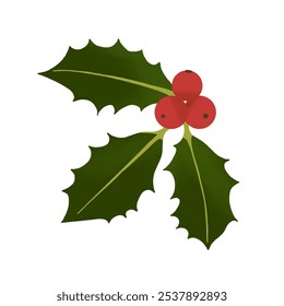 Christmas Holly Berry Branch : Christmas season concept illustration featuring a sprig of holly berries